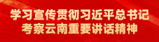 学习宣传贯彻习近平总书记考察云南重要讲话精神